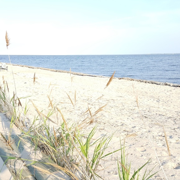 Meet your Posher, Chris - Picture 1 of 3